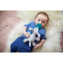 Load image into Gallery viewer, Philips Avent Soother Ultra Soft With Plush Animal Elephant 0-6M