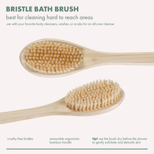 Load image into Gallery viewer, Product infographic detailing features of the EcoTools bristle bath brush including dry brushing tips and cruelty-free bristles.