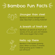 Load image into Gallery viewer, Eco-friendly fun facts about bamboo alongside Munchkin Bambou™ toddler plate, promoting sustainability and renewable materials.