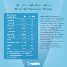 Load image into Gallery viewer, Nutritional information panel for Vitaldin Multivitamin Gummies for Kids listing 11 essential vitamins and minerals including Vitamin A, C, D, E, B6, B12, Folic Acid, Biotin, Pantothenic Acid, Iodine, and Zinc.