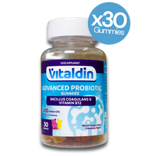 Load image into Gallery viewer, Vitaldin Advanced Probiotic Gummies with Bacillus Caogulans & Vitamin B12 bottle with a label indicating 36 gummies per bottle on a white background.