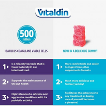 Load image into Gallery viewer, Infographic showing benefits of Bacillus Coagulans in Vitaldin Probiotic Gummies including gut support and digestive health.
