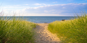 A sandy path bordered by tall grass leads to the ocean, inviting exploration and a sense of tranquility.