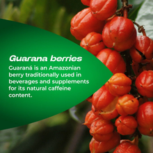 Load image into Gallery viewer, Guarana berries used in Berocca Boost as a natural source of caffeine
