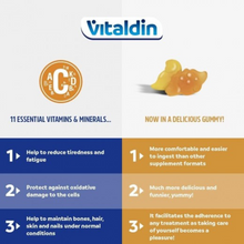 Load image into Gallery viewer, Infographic showing benefits of Vitaldin Kids Multivitamin Gummies including support for growth, immunity, and cognitive function.

