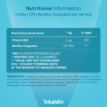 Load image into Gallery viewer, Nutritional information panel for Vitaldin Probiotic Gummies detailing Vitamin B12, 1 billion CFU Bacillus coagulans per serving, and full ingredient list.
